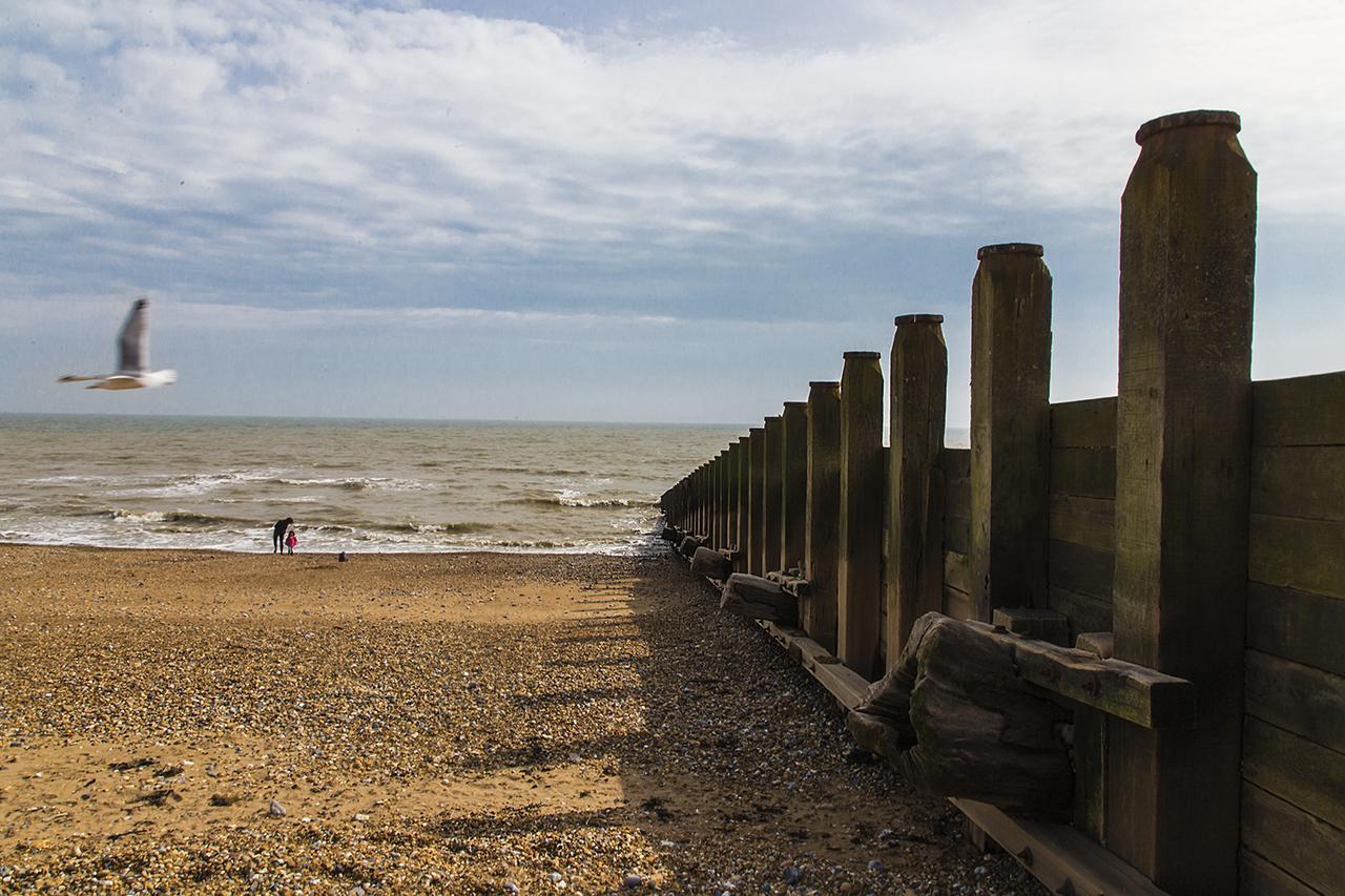 Congress Apartments Eastbourne Dış mekan fotoğraf